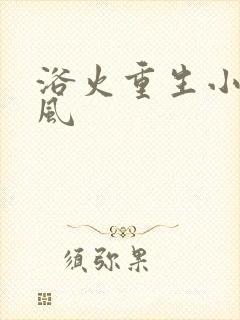 浴火重生小说陈风