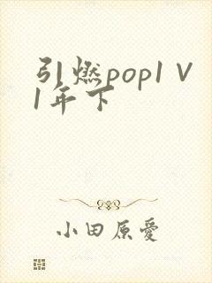 引燃pop1∨1年下