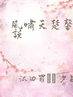 风啸天楚馨月小说