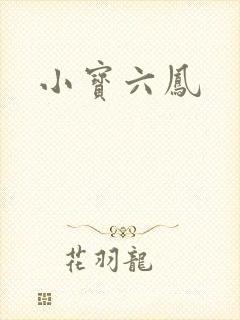 小宝六凤