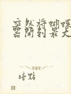 突然将蝴蝶遥控器开到最大