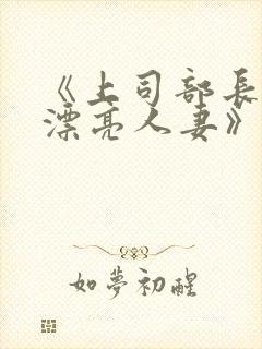 《上司部长出轨漂亮人妻》