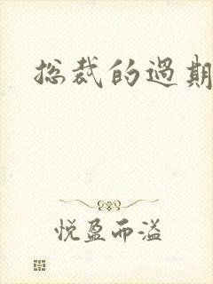 总裁的过期情人