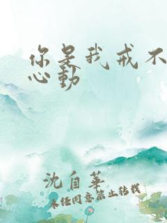 你是我戒不掉的心动