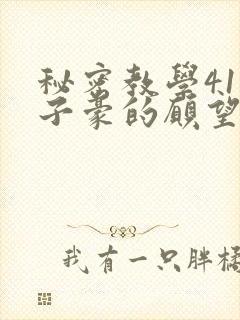 秘密教学41话子豪的愿望是