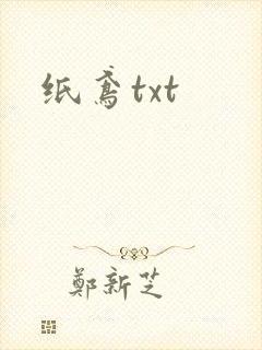 纸鸢txt