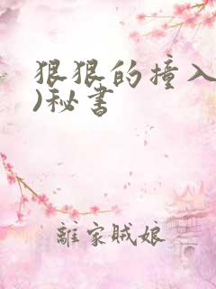 狠狠的撞入(h)秘书