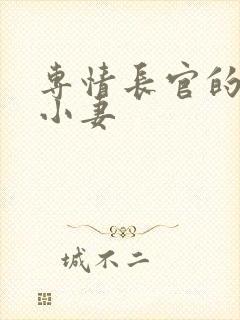 专情长官的天价小妻