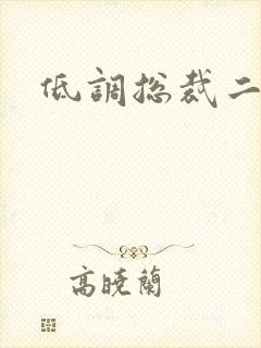 低调总裁二手妻