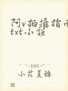 阿v拍摄指南说txt小说