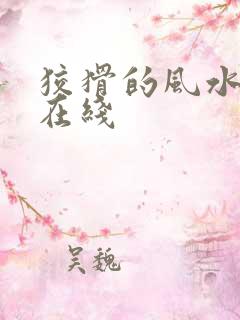 狡猾的风水相师在线