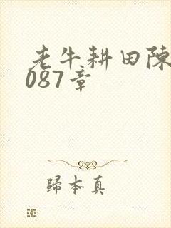 老牛耕田陈雪1087章