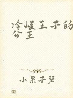 冷峻王子的完美公主