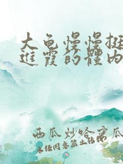 大龟慢慢挺进王进霞的体内