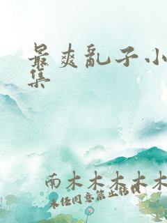 最爽乱子小说合集