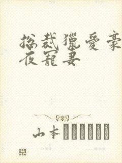 总裁猎爱豪门一夜宠妻