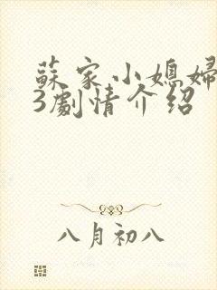 苏家小媳妇1v3剧情介绍