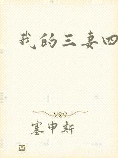 我的三妻四妾