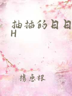 抽插的日日液液H