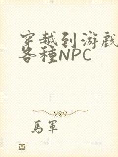 穿越到游戏里和各种NPC