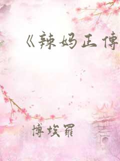 《辣妈正传》