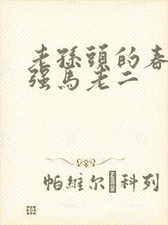 老孙头的春天马强马老二