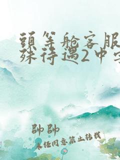 头等舱客服的特殊待遇2中字