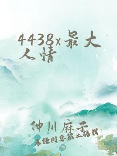 4438x最大人情