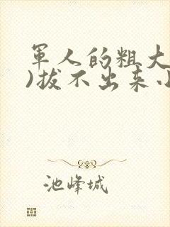 军人的粗大(h)拔不出来小说