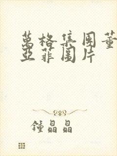 万格集团董事李亚菲图片