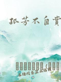 孤芳不自赏小说