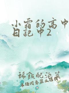 小霜的高中成长日记中2