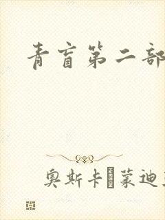 青盲第二部
