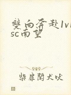 双向奔赴1v1sc南望