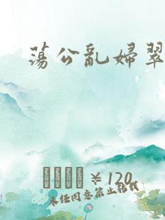 荡公乱妇翠翠