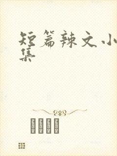 短篇辣文小说合集