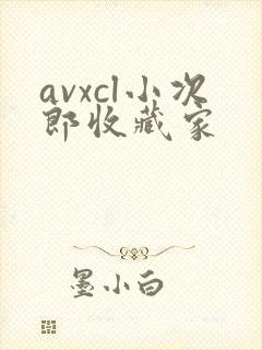 avxcl小次郎收藏家