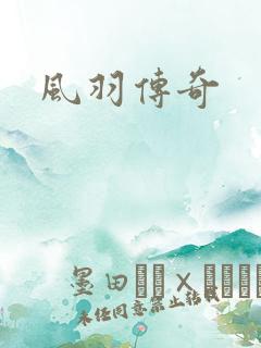 风羽传奇