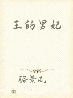 王的男妃