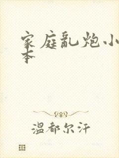 家庭乱炮小说全本