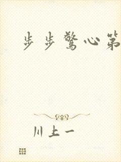 步步惊心第二部