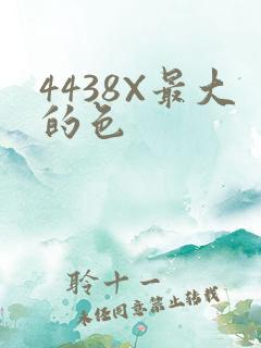 4438X最大的色