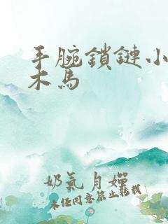 手腕锁链小黑屋木马