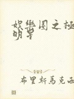 娱乐圈之极品大明星