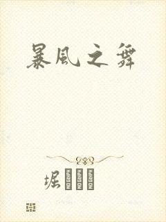 暴风之舞