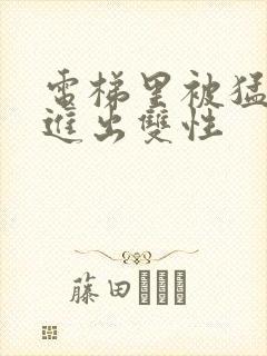 电梯里被猛烈的进出双性