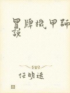 冒牌机甲师 小说