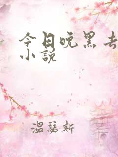 今日晚黑去见你小说