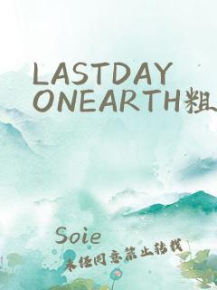 LASTDAYONEARTH粗暴