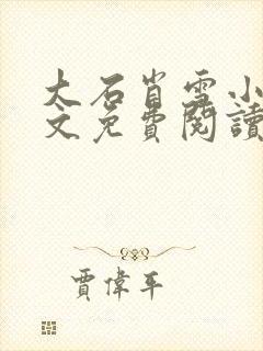 大石肖雪小说全文免费阅读